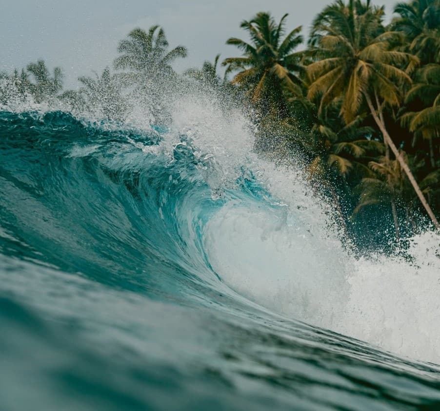 Responsabilidade Ambiental: A Onda do Surf Sustentável com Surf's Up